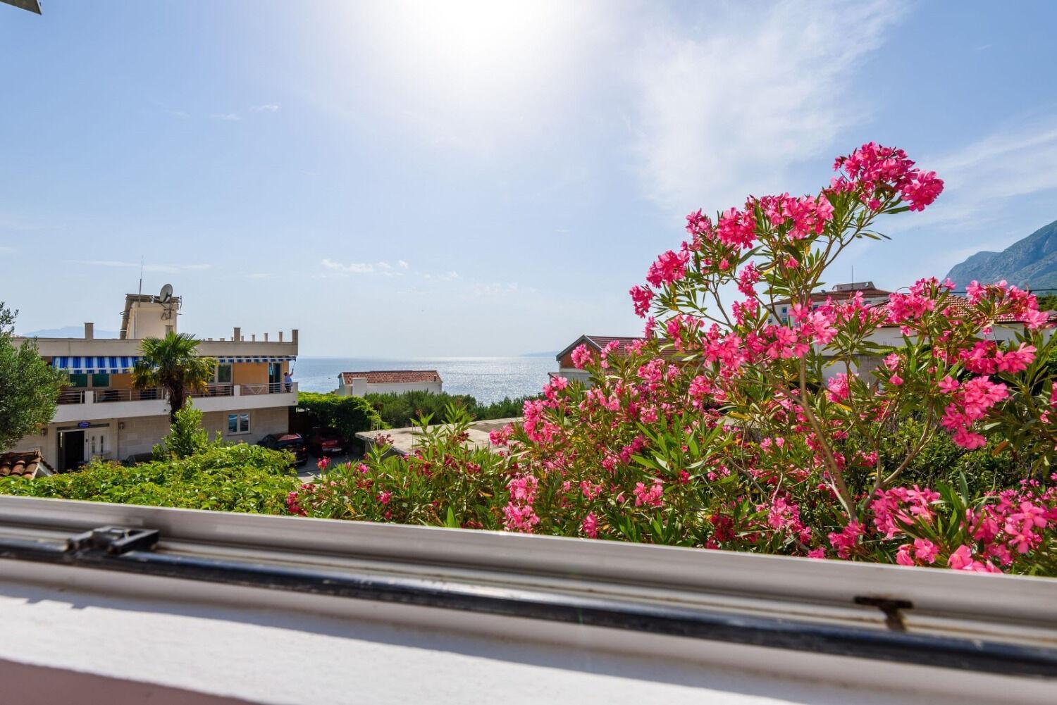 Apartments Goge غراداك المظهر الخارجي الصورة